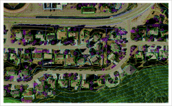 Digital Cartography