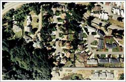 Digital Orthophoto