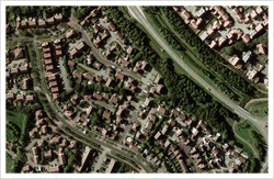 Digital Orthophoto